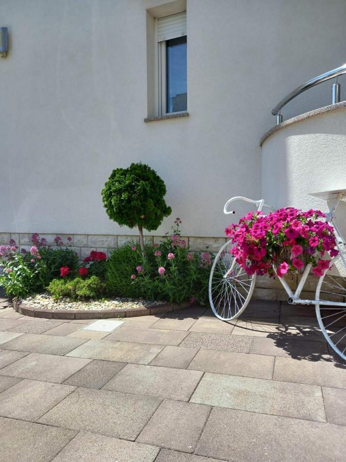 נובי ווינודולסקי Garfild 1 Guest House מראה חיצוני תמונה
